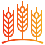 external barley-autumn-gradients-pongsakorn-tan icon