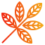 external botanical-autumn-gradients-pongsakorn-tan icon