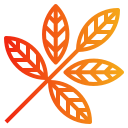 external botanical-autumn-gradients-pongsakorn-tan icon