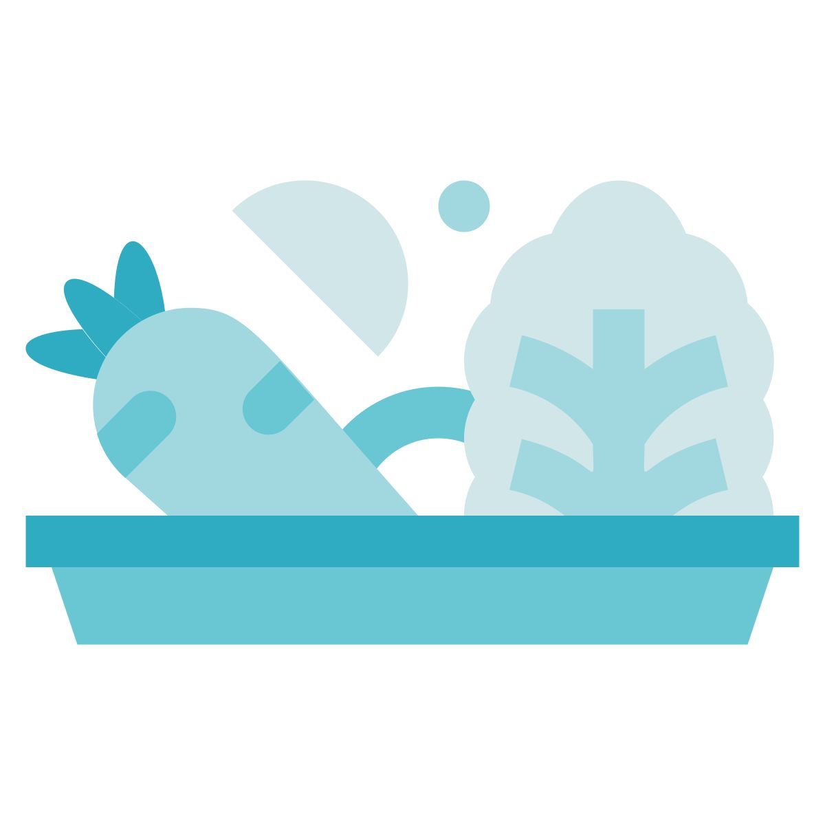 plate salad icon