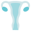 external Uterus-organ-anatomy-hidoc-kerismaker icon