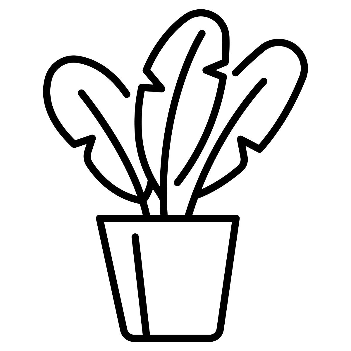 decoration icon