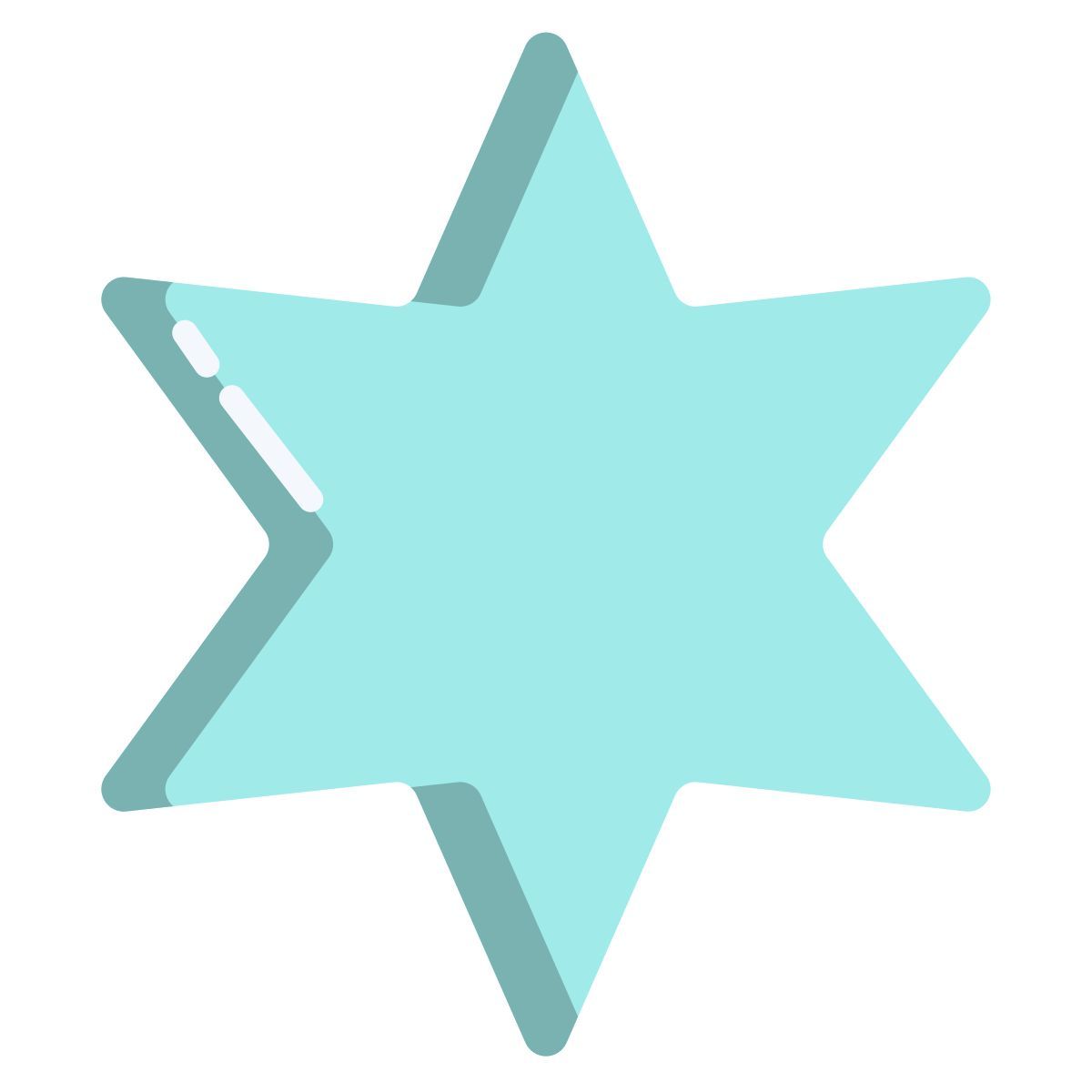 6 point star icon