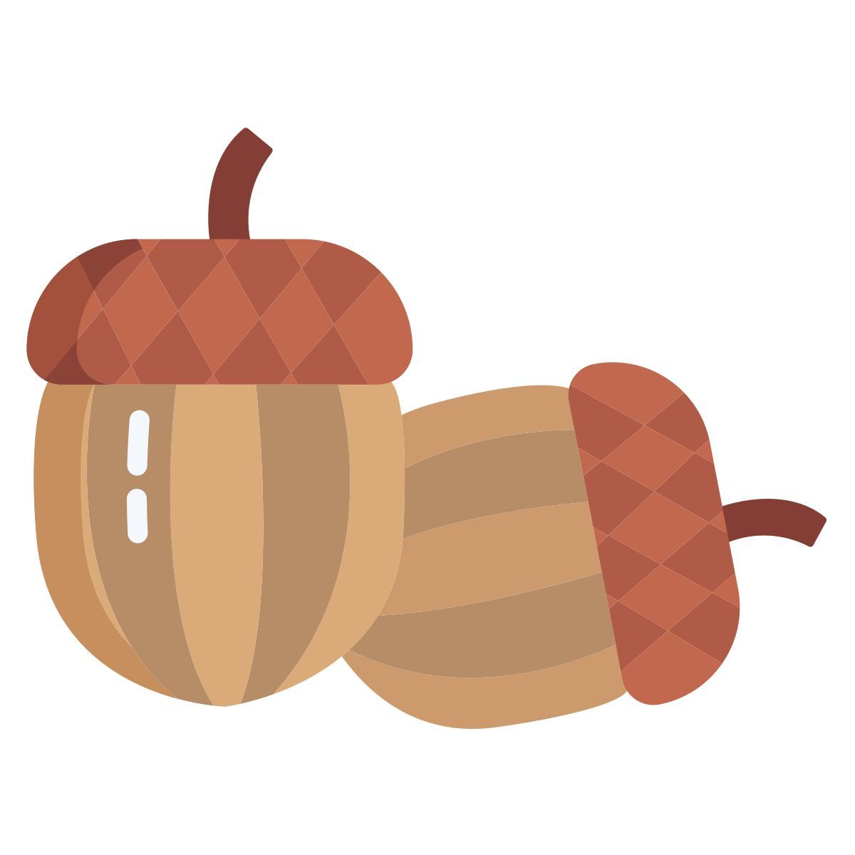 acorn icon