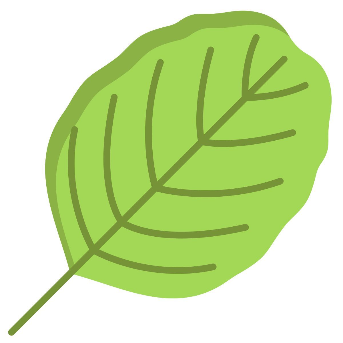alder leaf icon