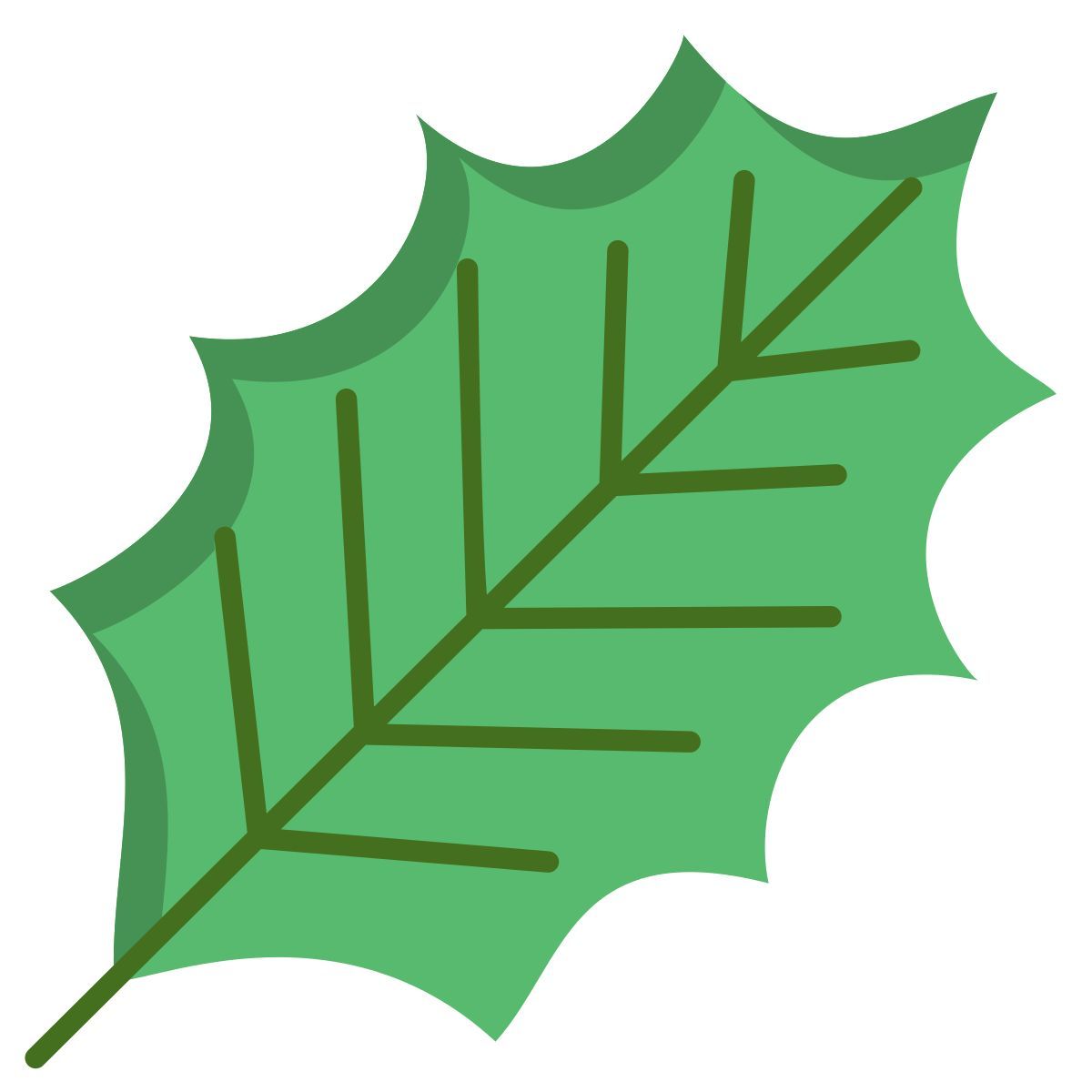 american holly leaf icon