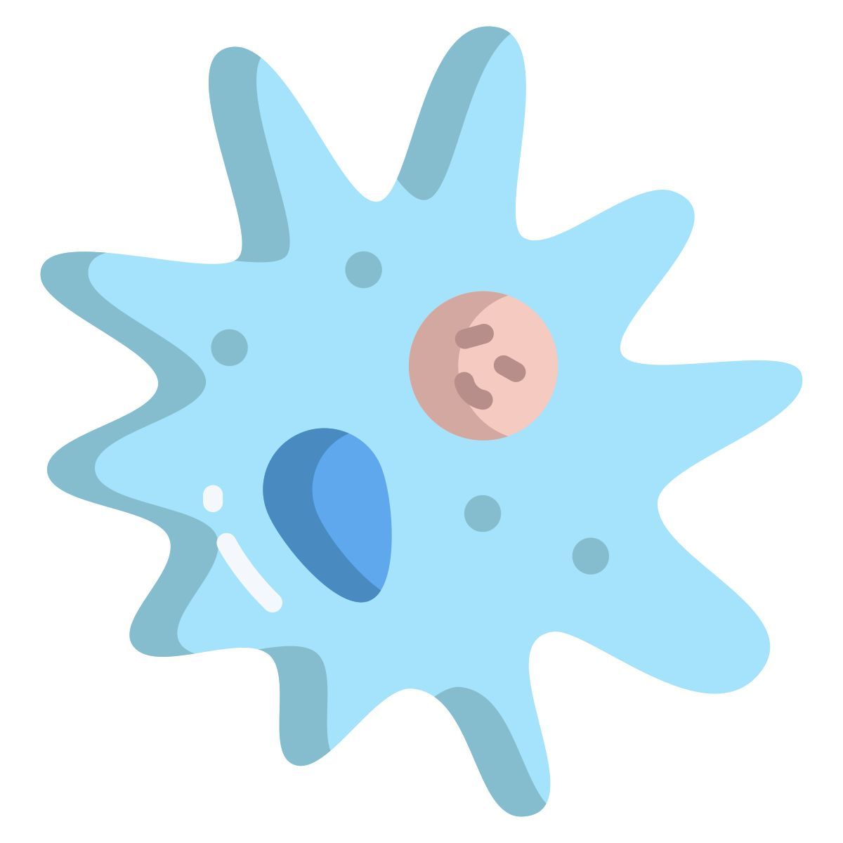 amoeba icon