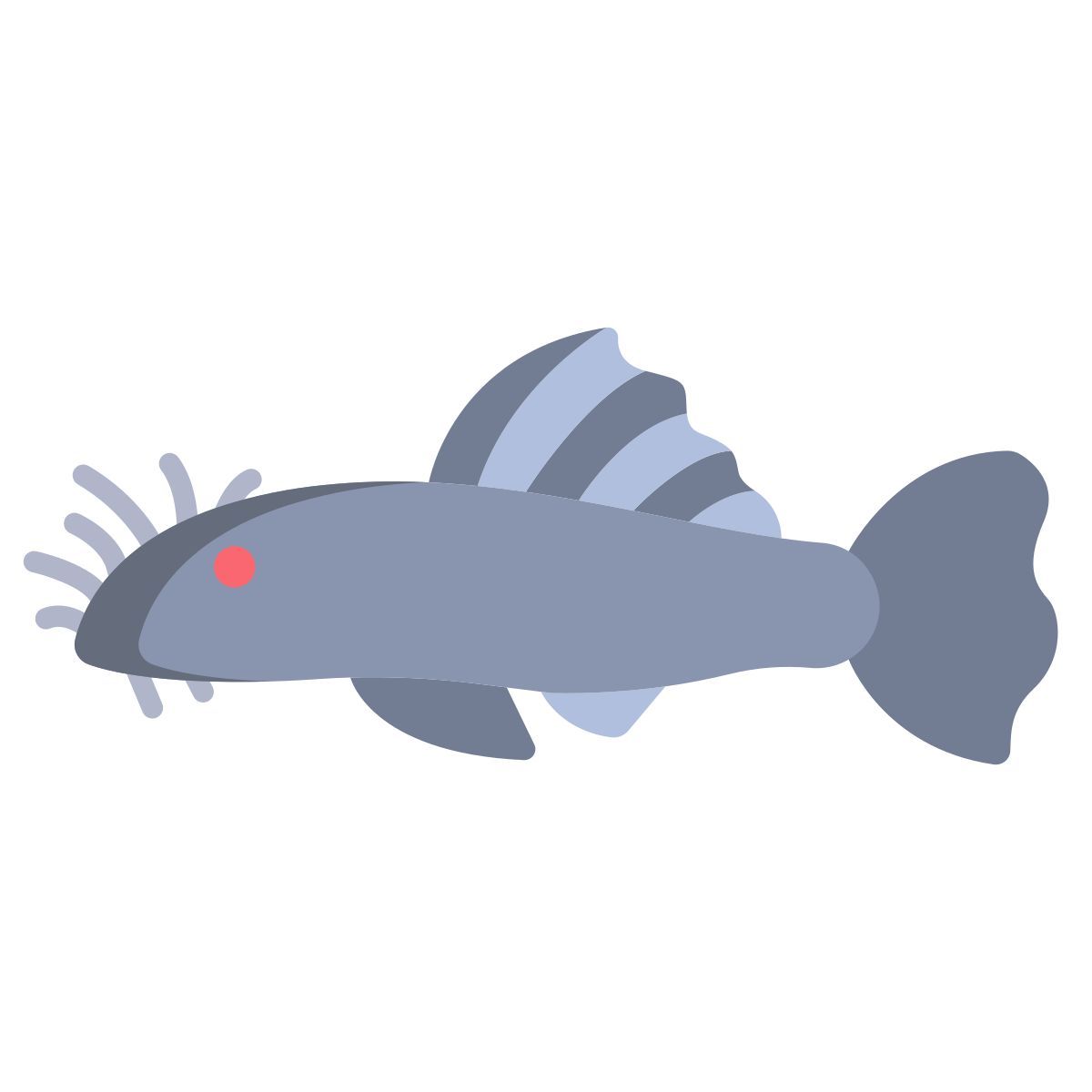 ancistrus fish icon