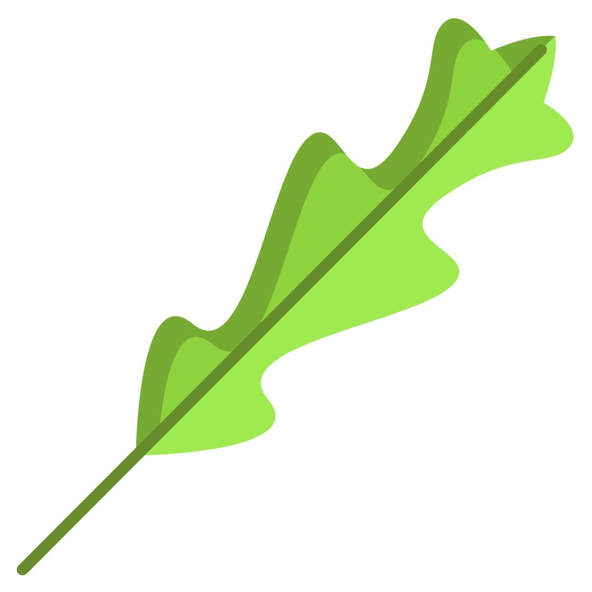 hoja de rúcula icon