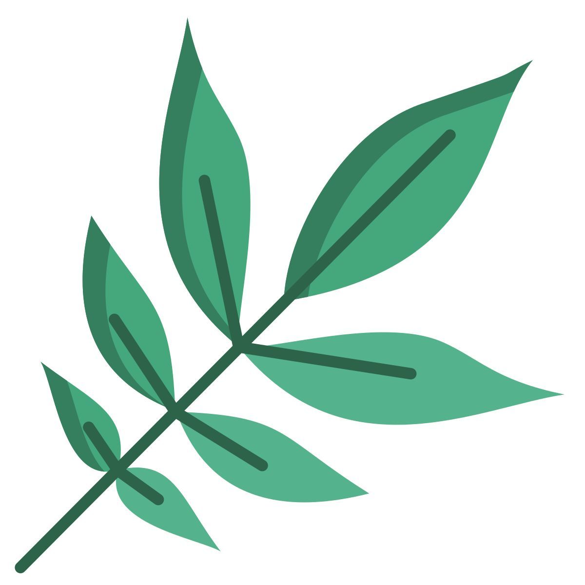 ash leaf icon