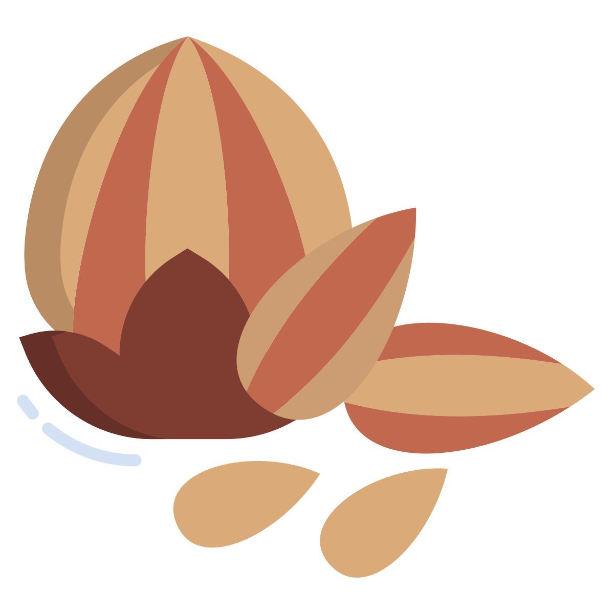 badam and walnut icon