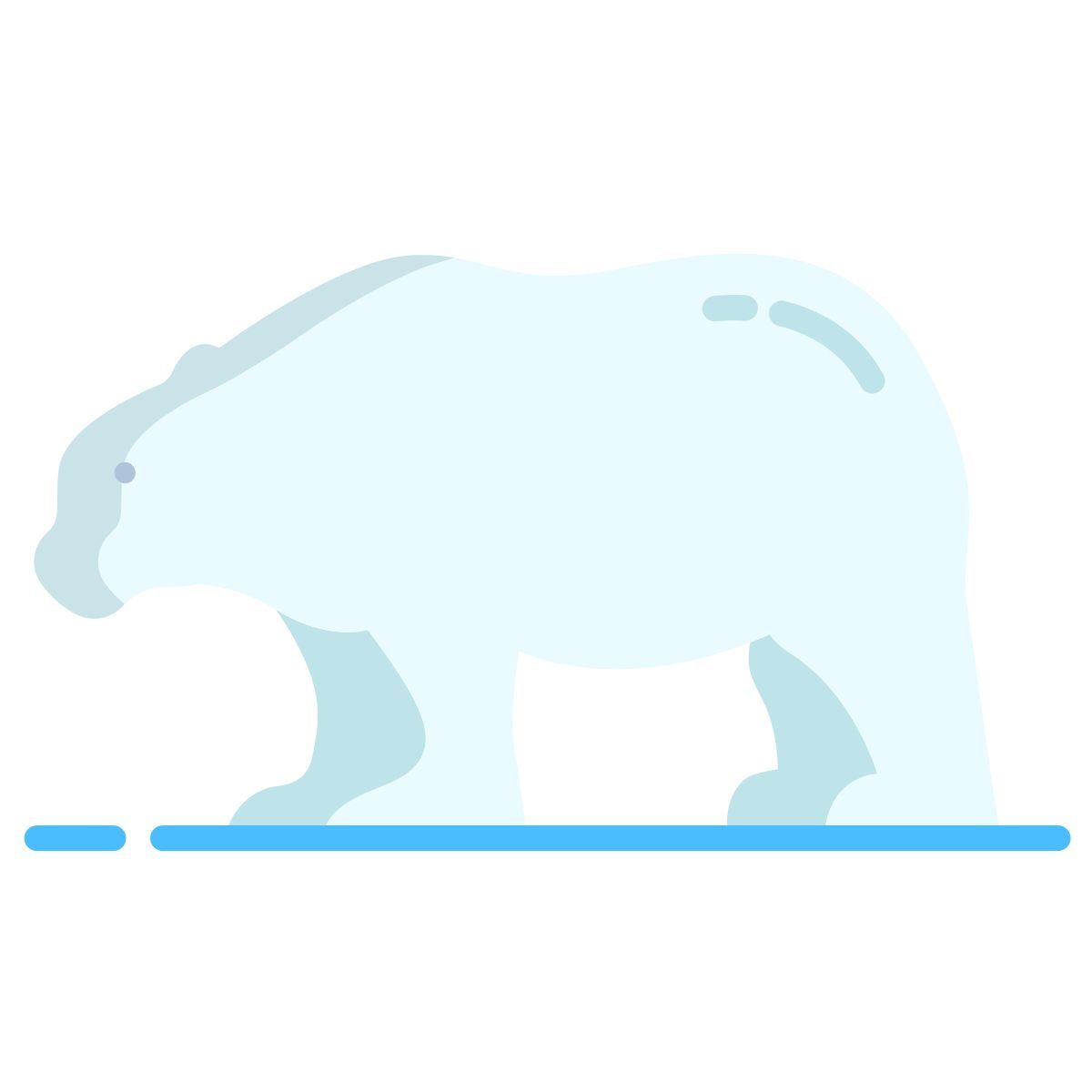 bear icon