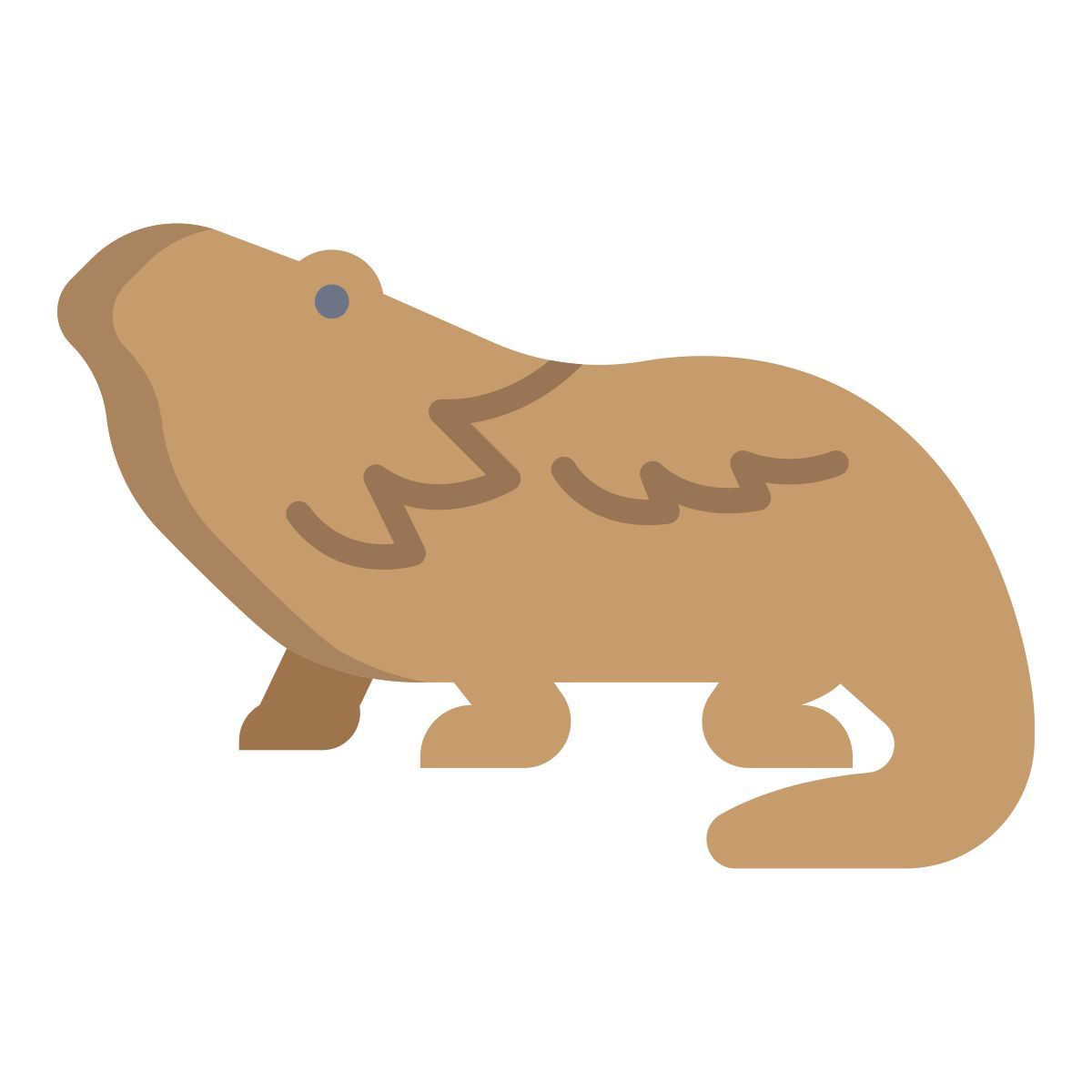 bearded dragon icon