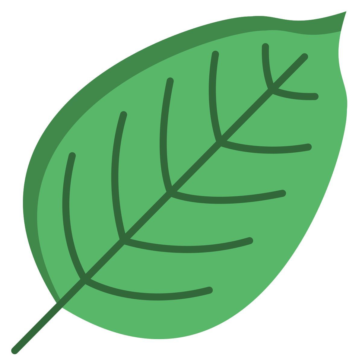folha de faia icon