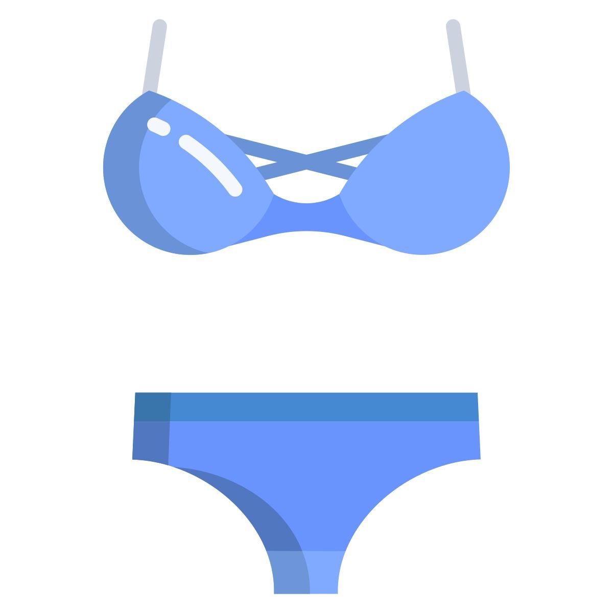 bikini icon