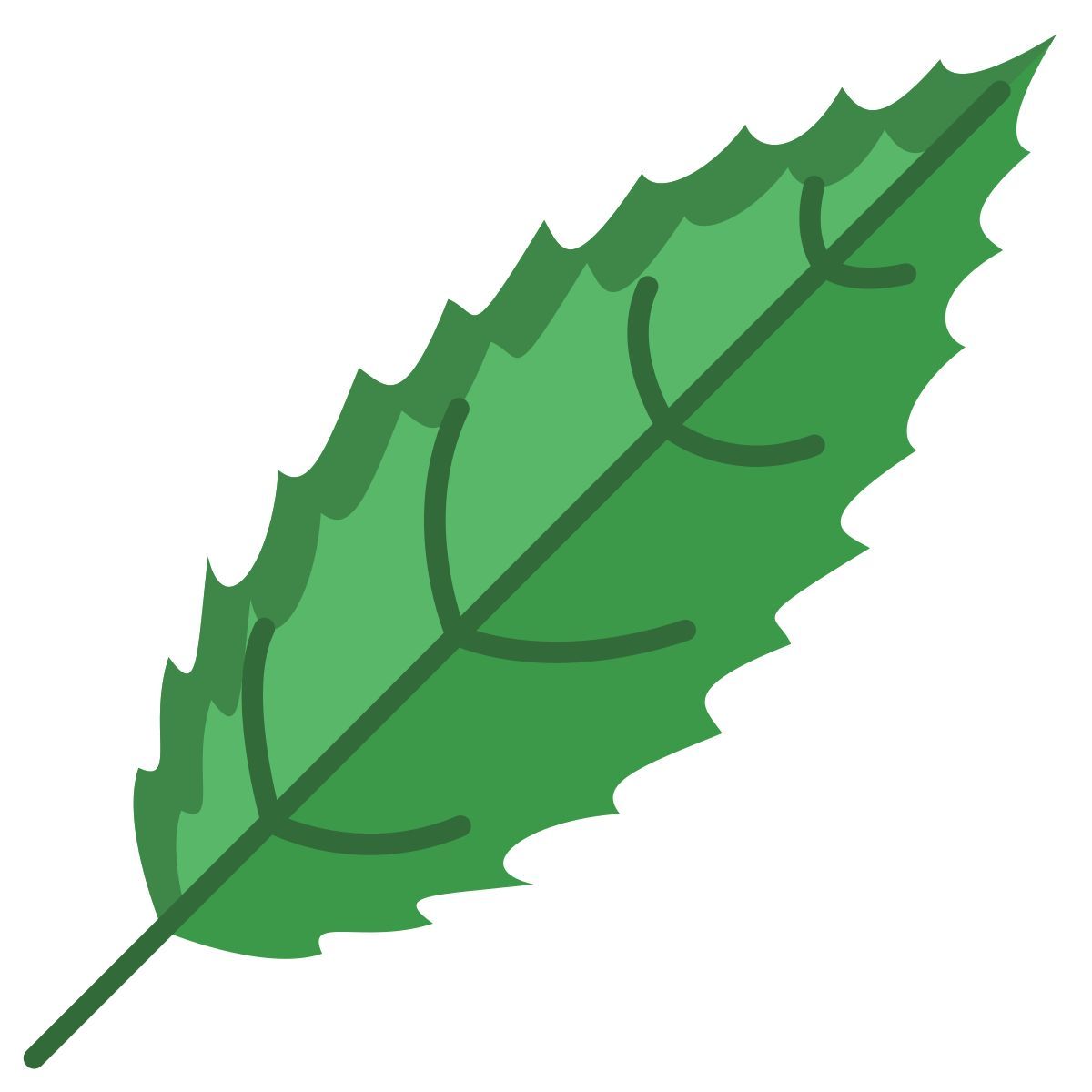 black cherry leaf icon