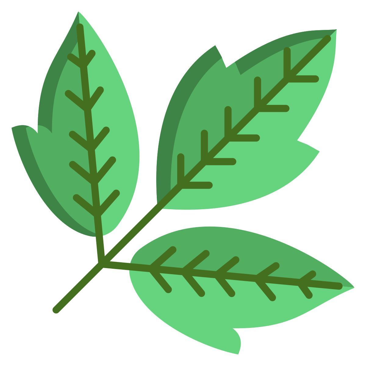 box elder leaf icon