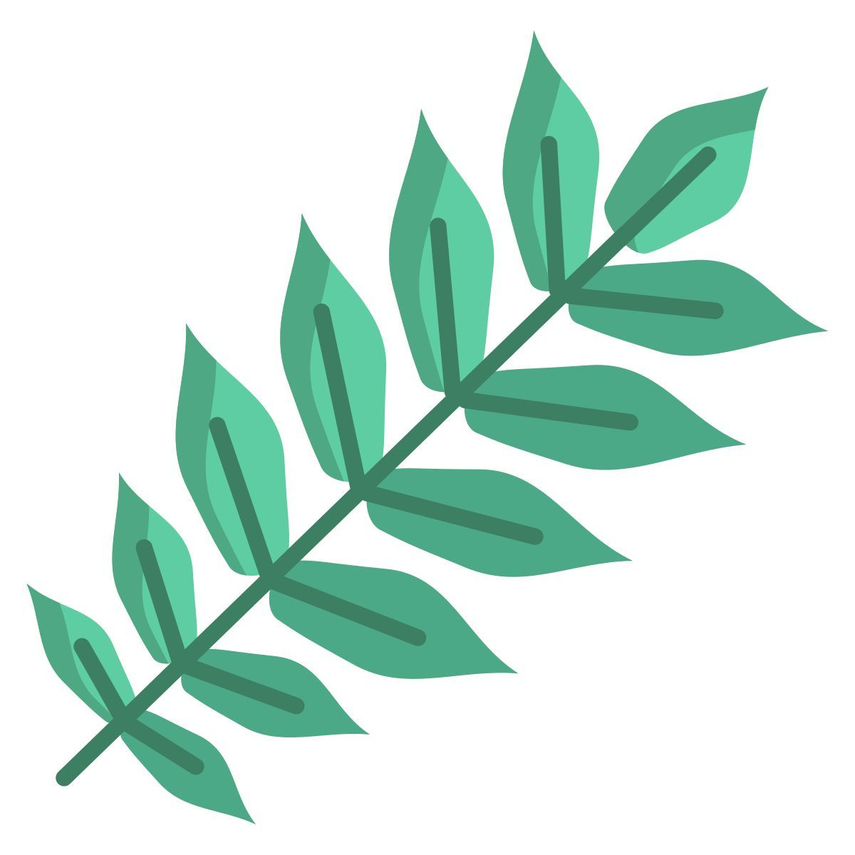 胡桃叶 icon