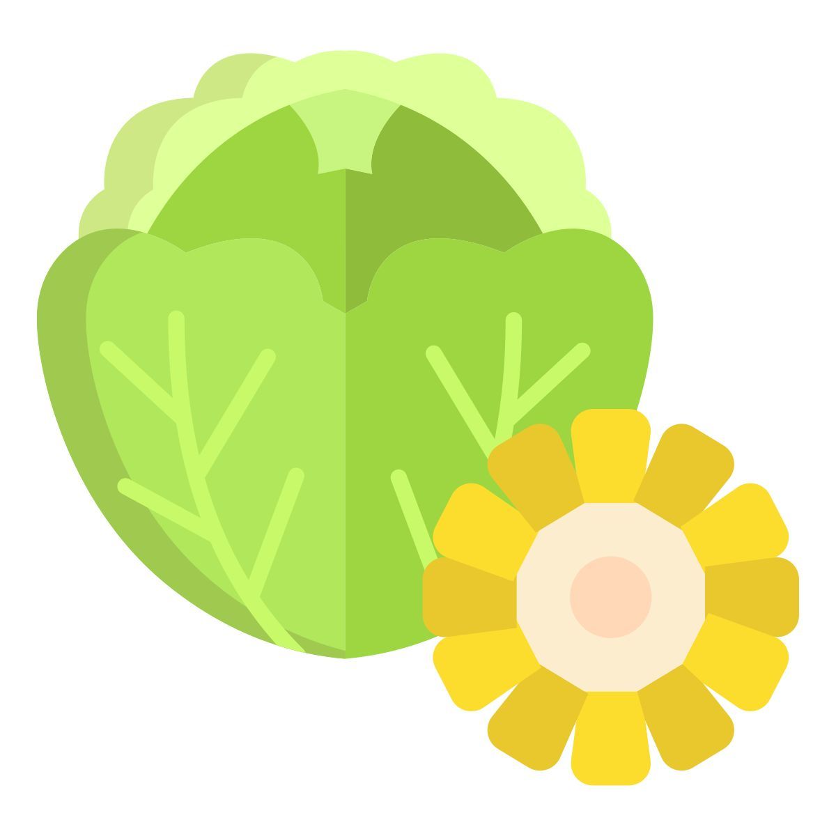 cabbage and corn icon