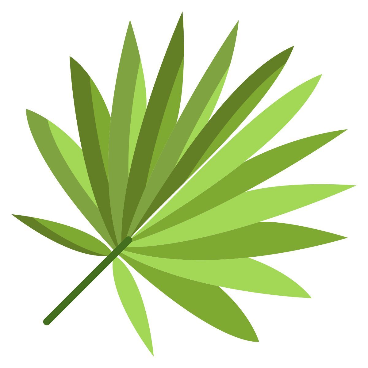 foglia di cavolo cappuccio icon