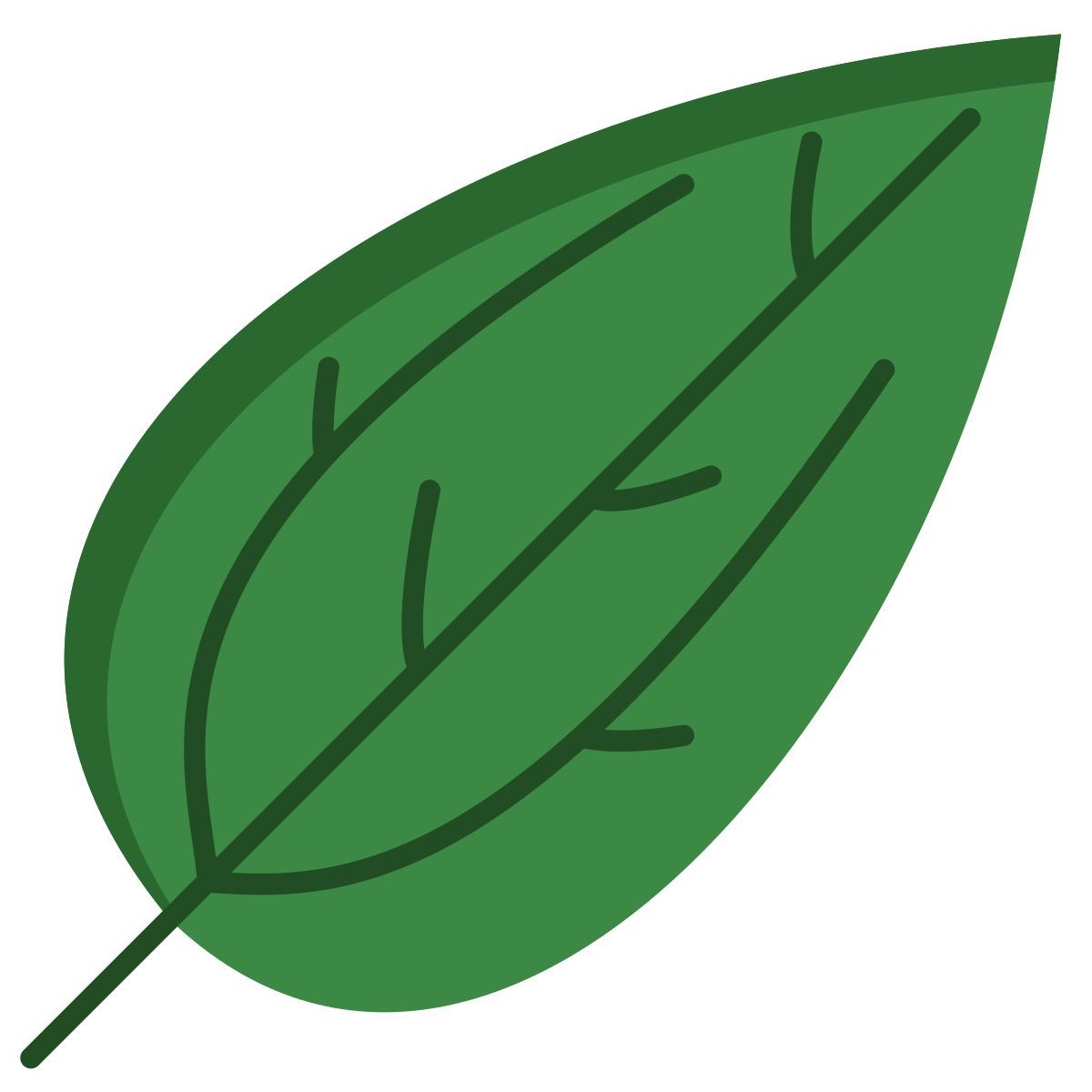 camphor leaf icon
