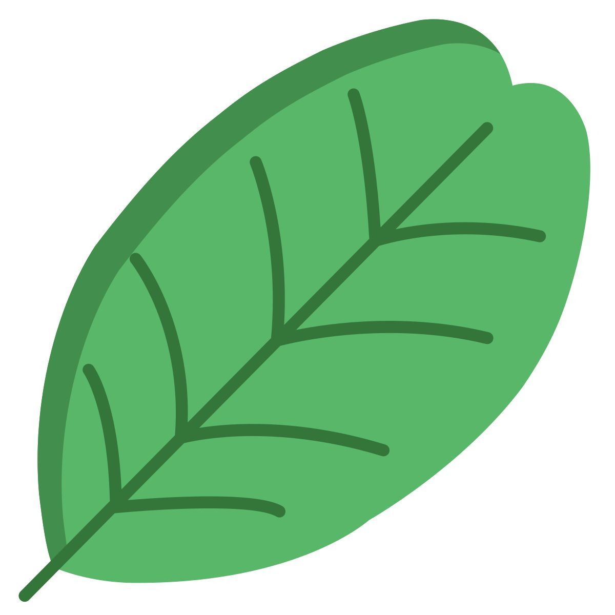 carob tree leaf icon