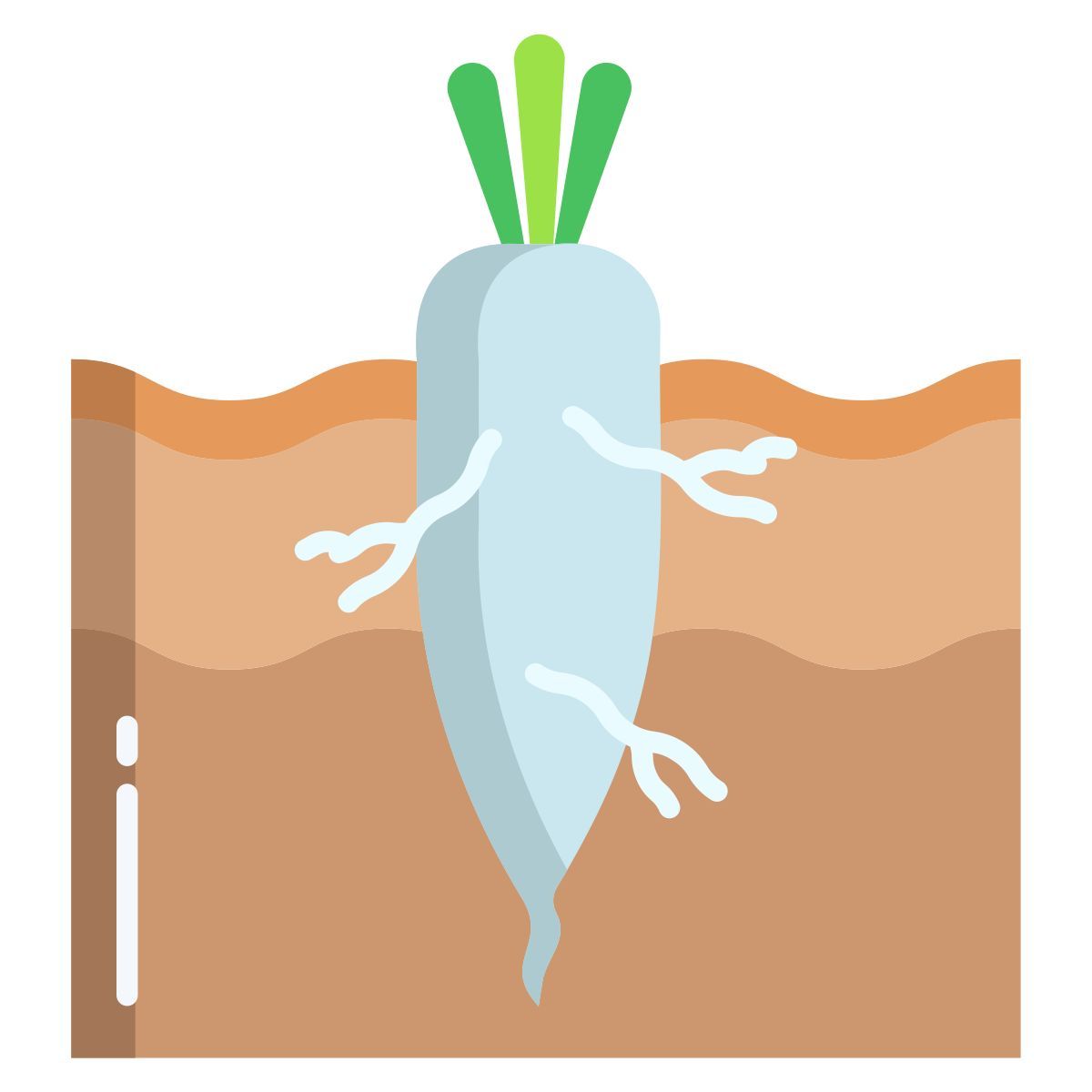 carrot icon
