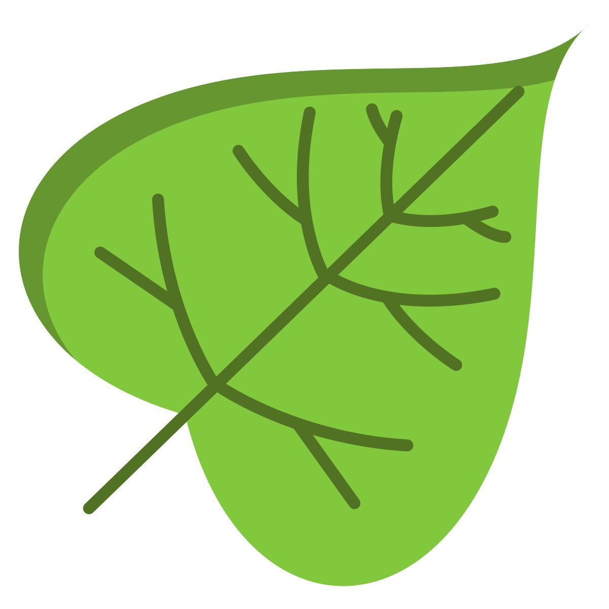 catalpa leaf icon