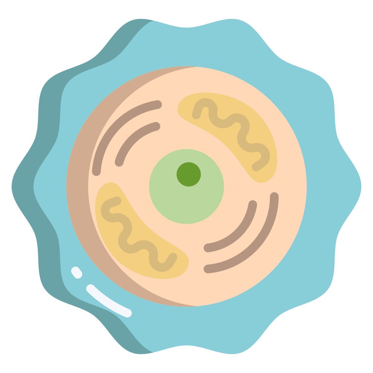 cell biology icon