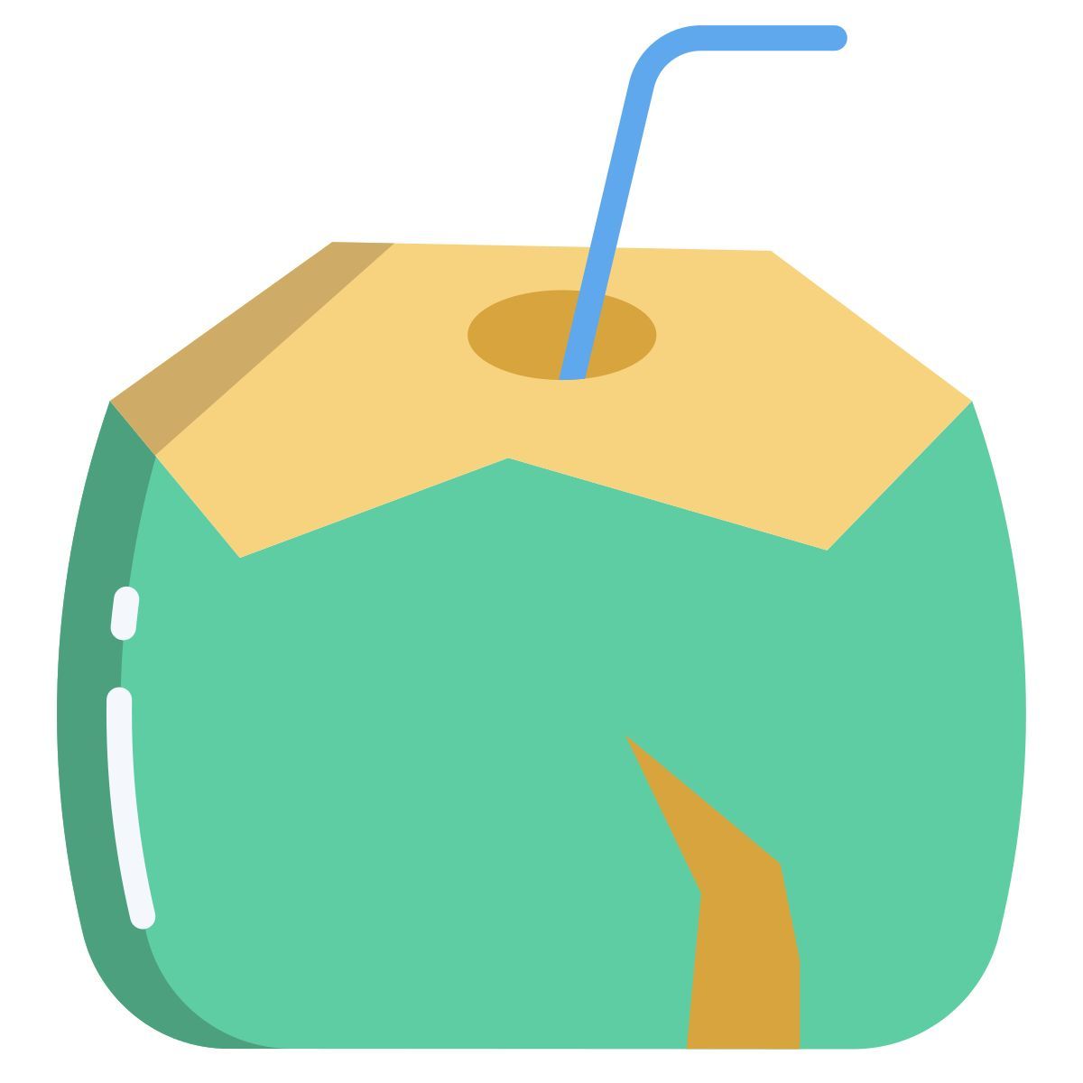 coconut icon