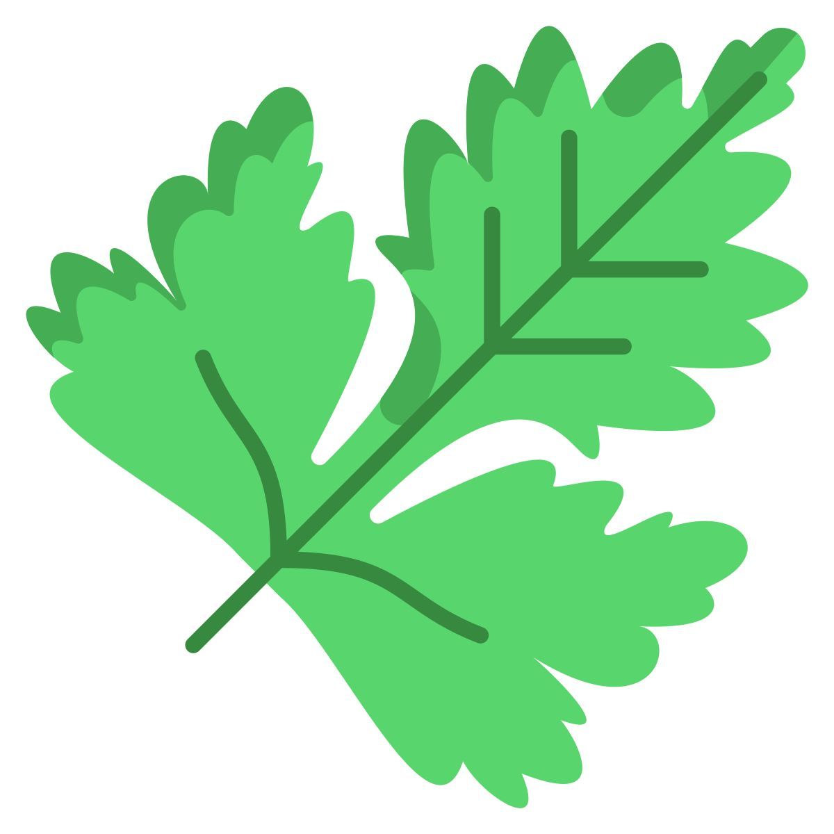 coriander leaf icon