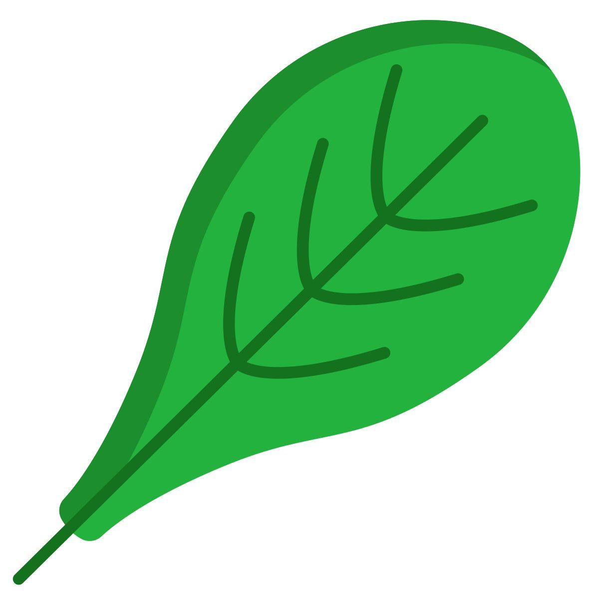 corn salad icon