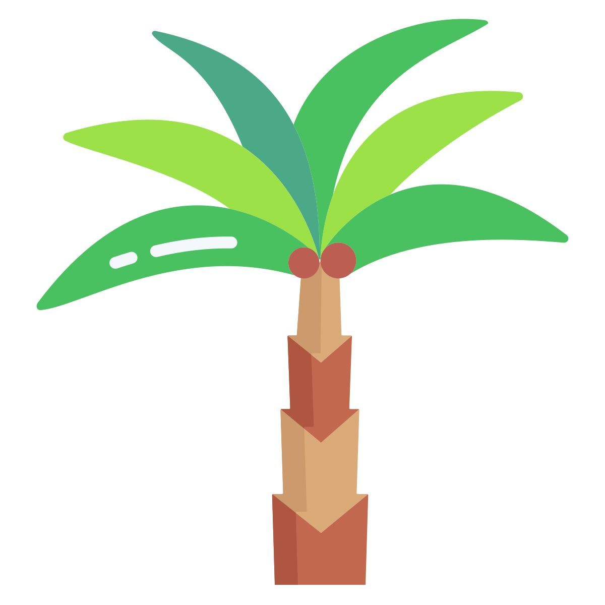 Date Palm icon