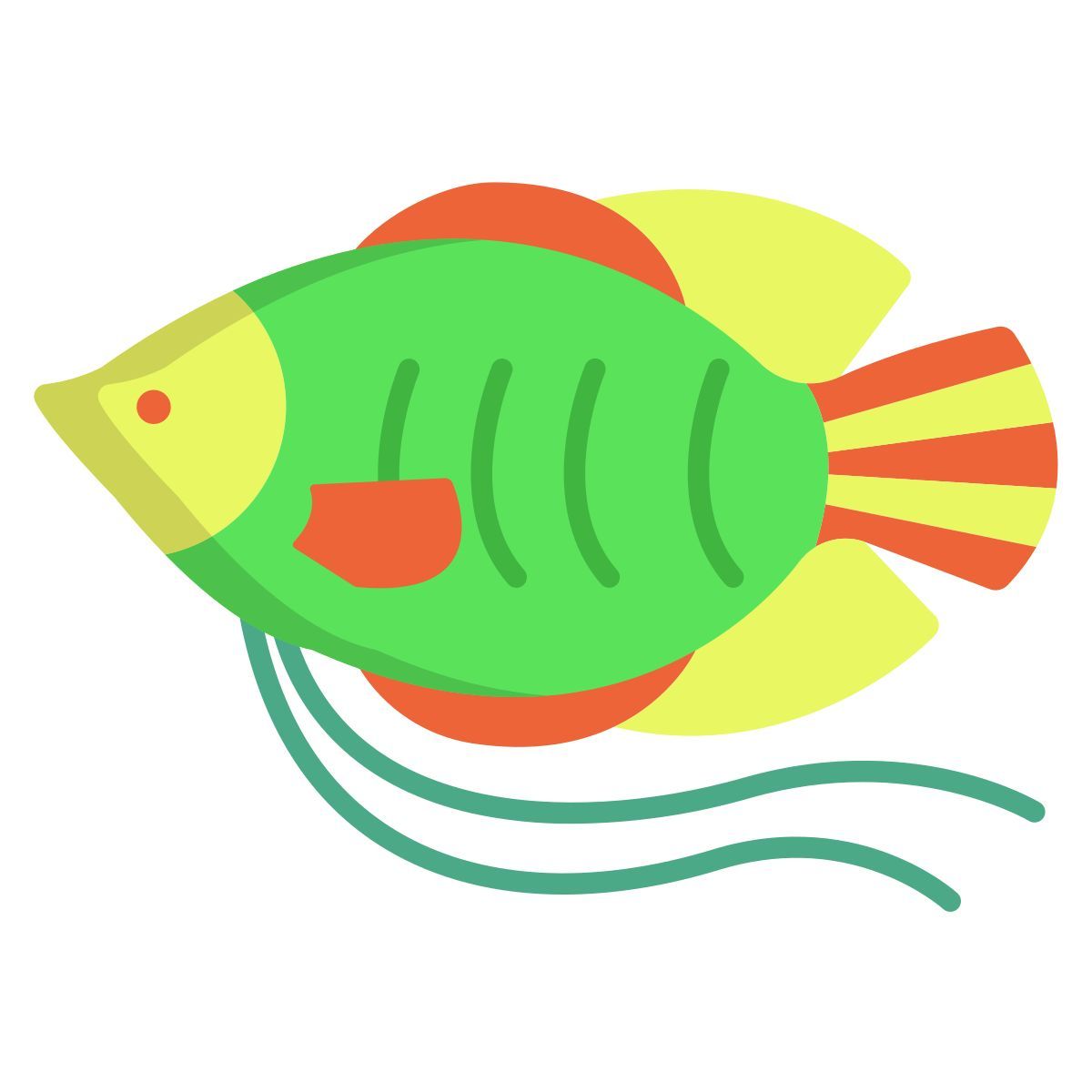 dwarf gurami fish icon