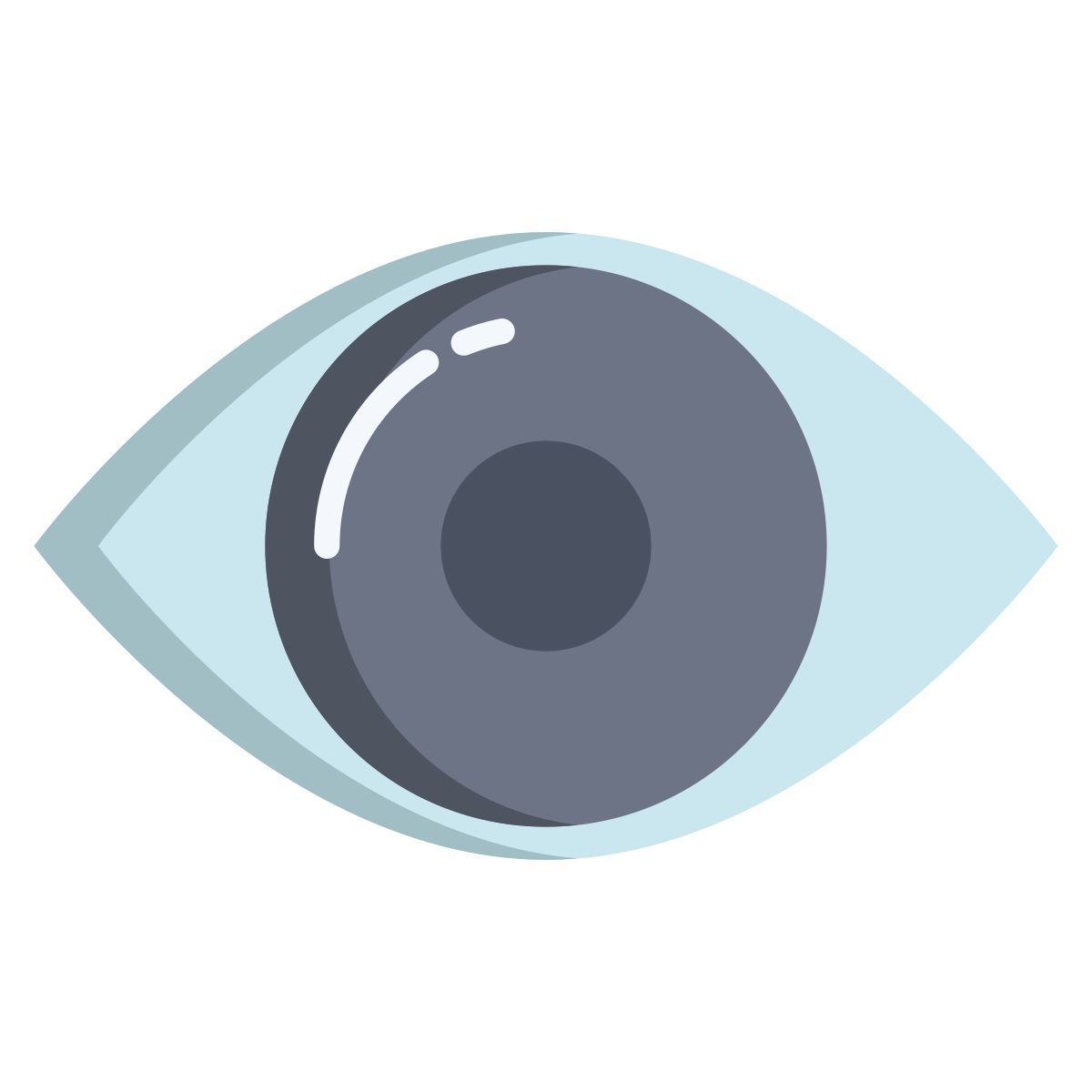 eye icon