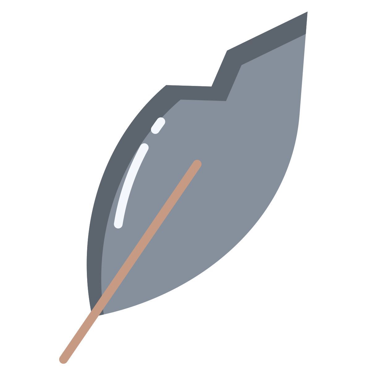 feather icon
