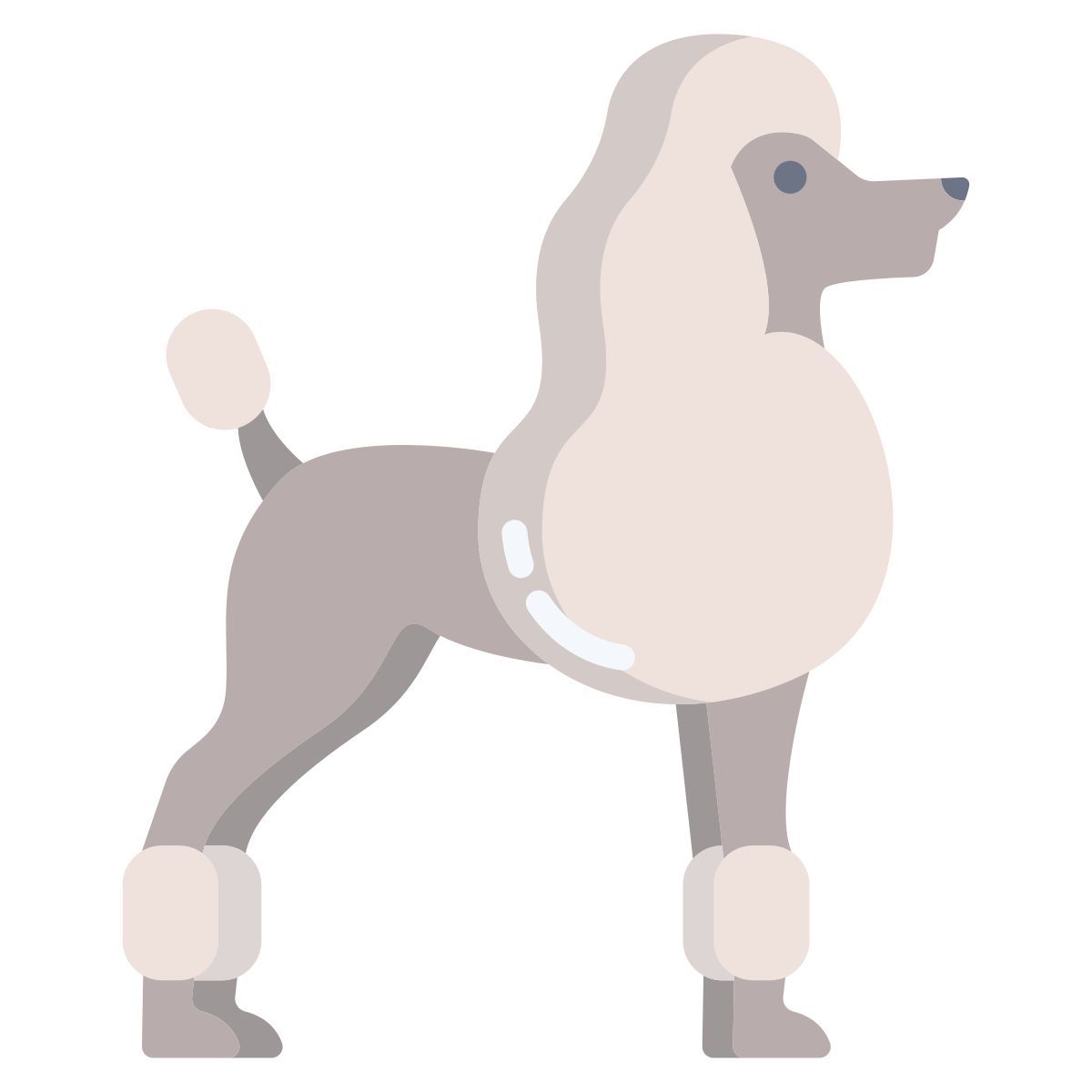 französischer pudel icon