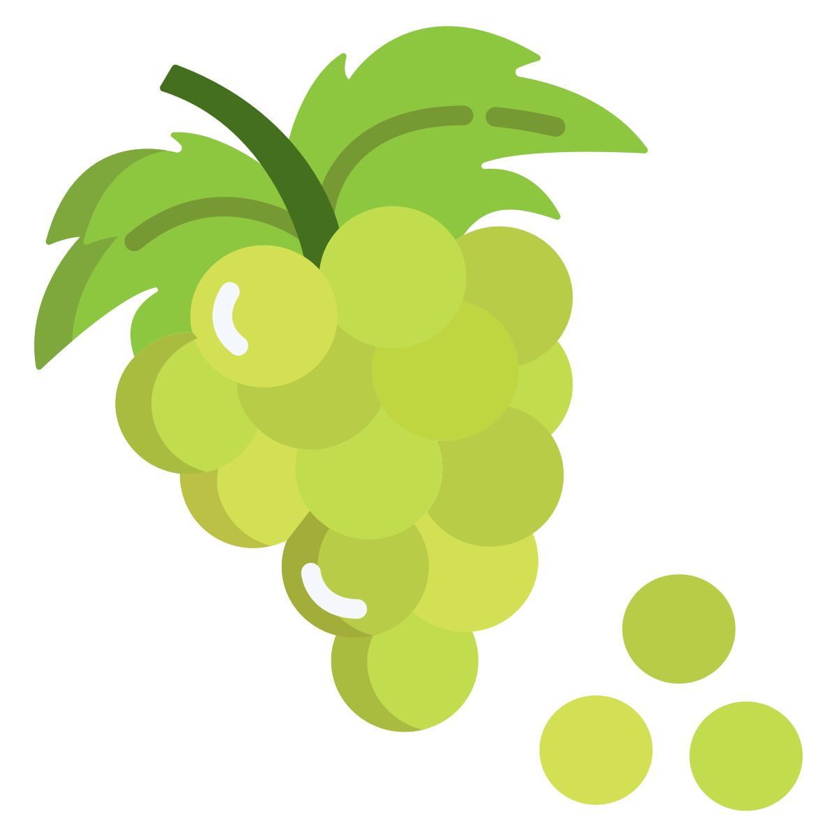 grapes icon