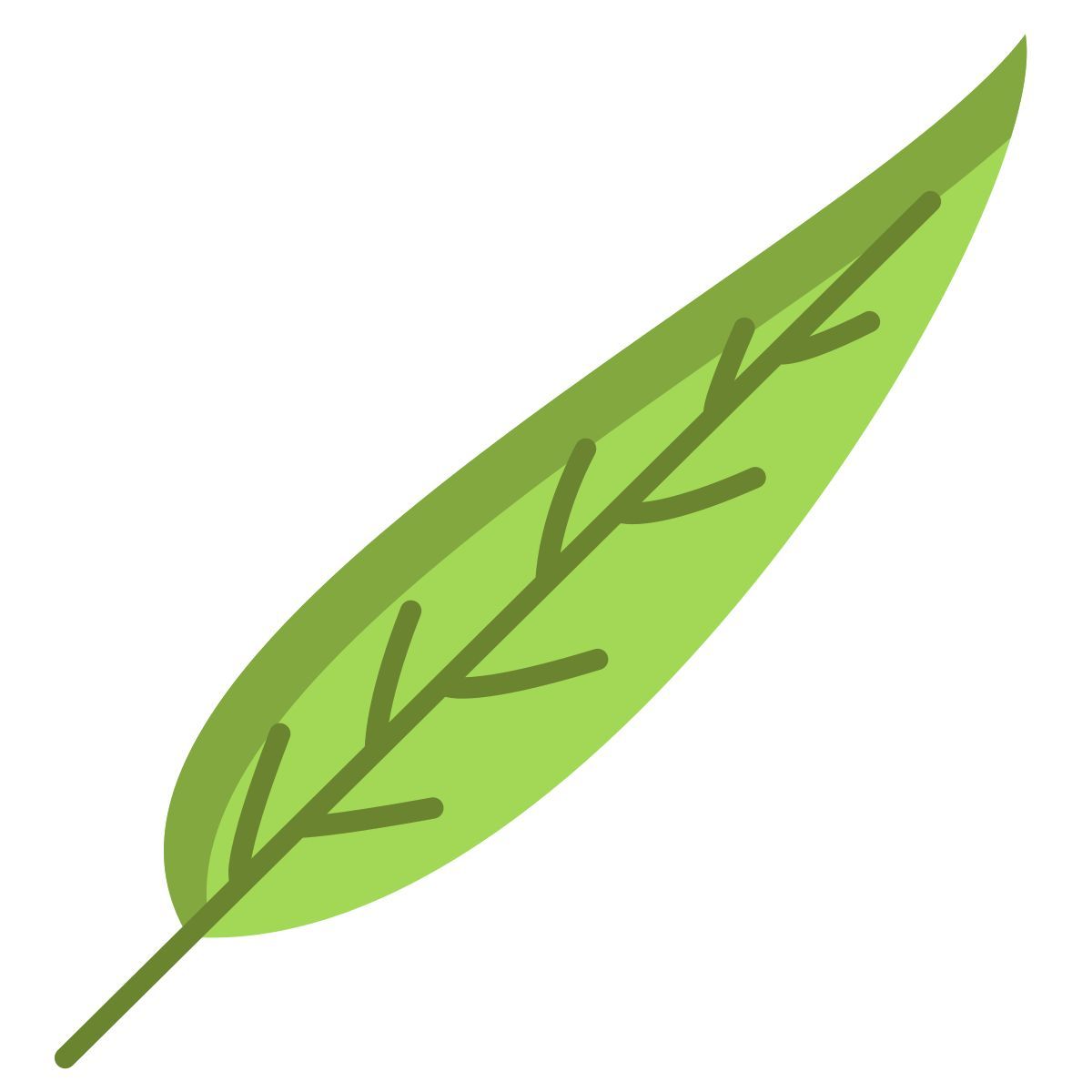gum tree leaf icon