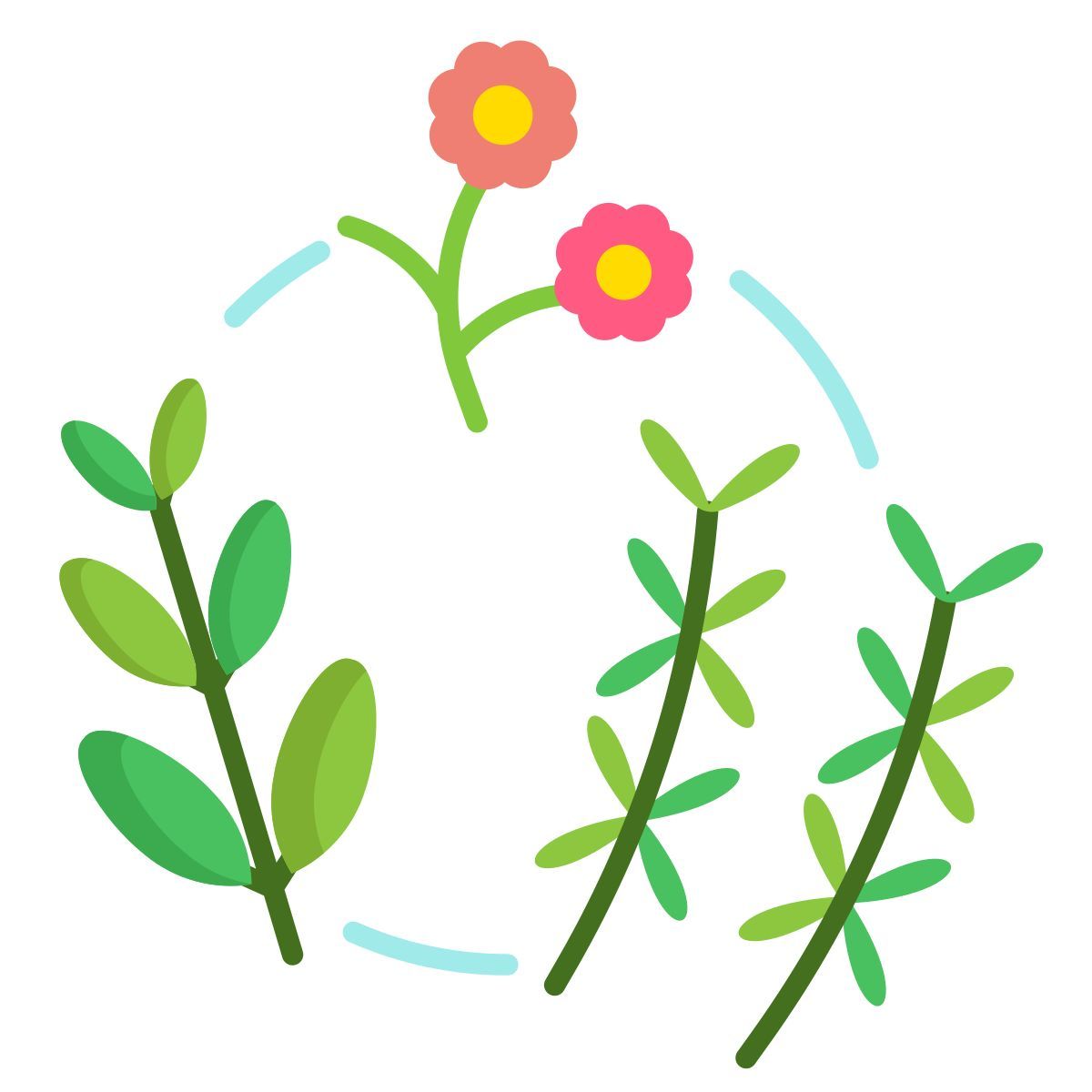 herbs icon