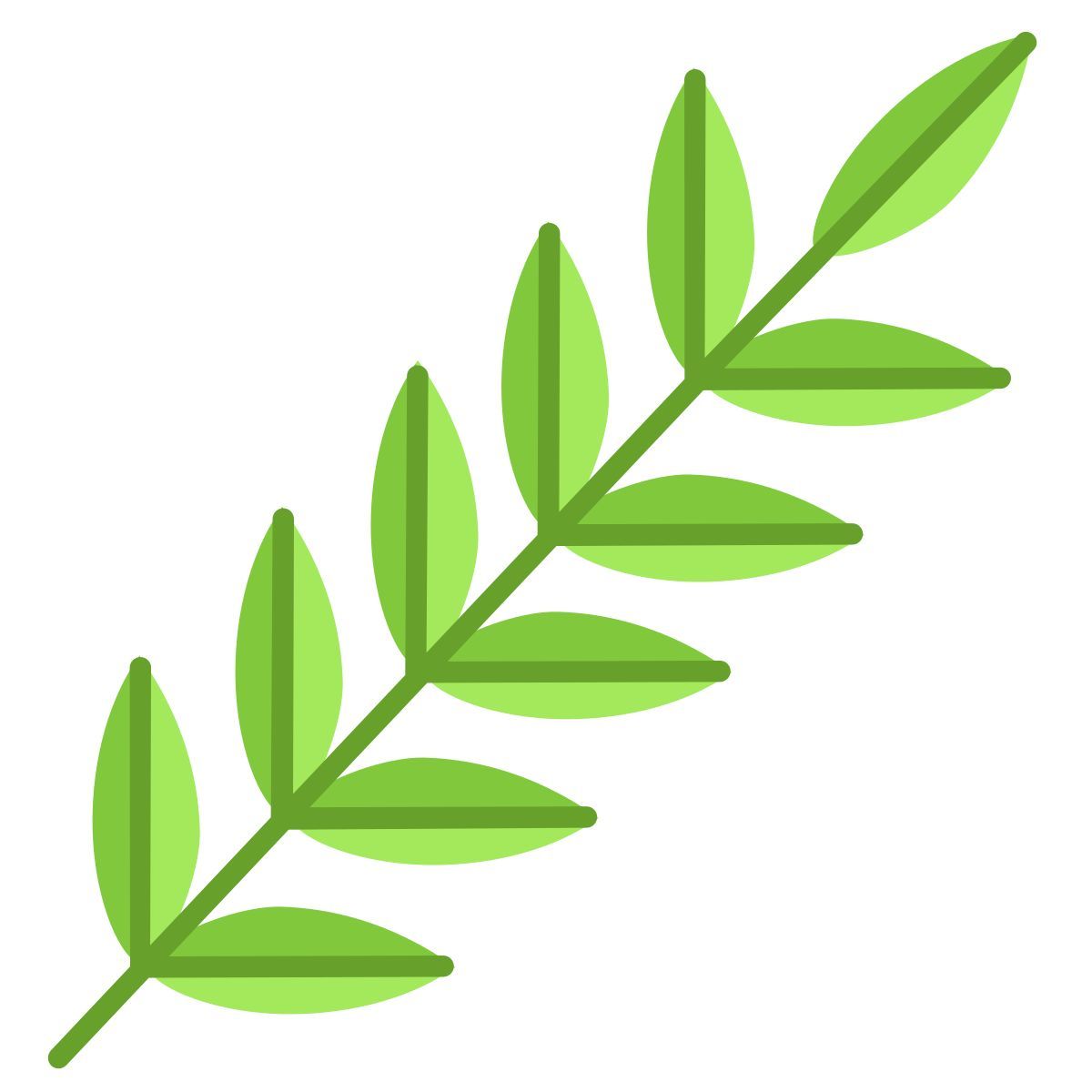 honey locust leaf icon