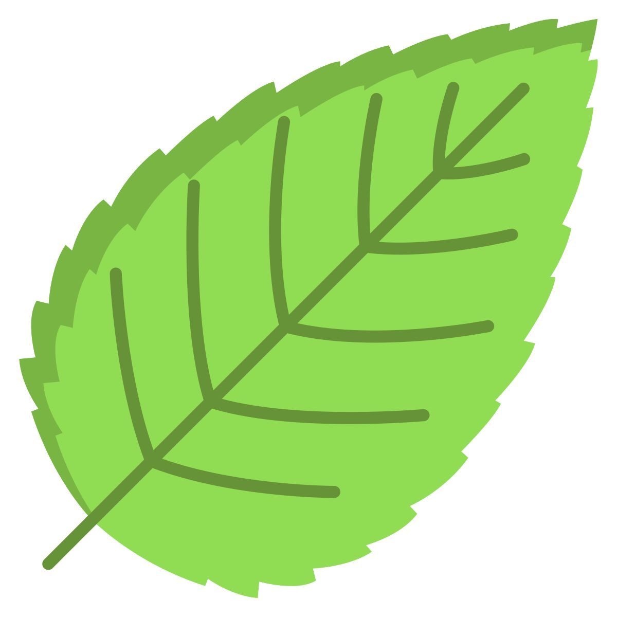 hornbeam leaf icon