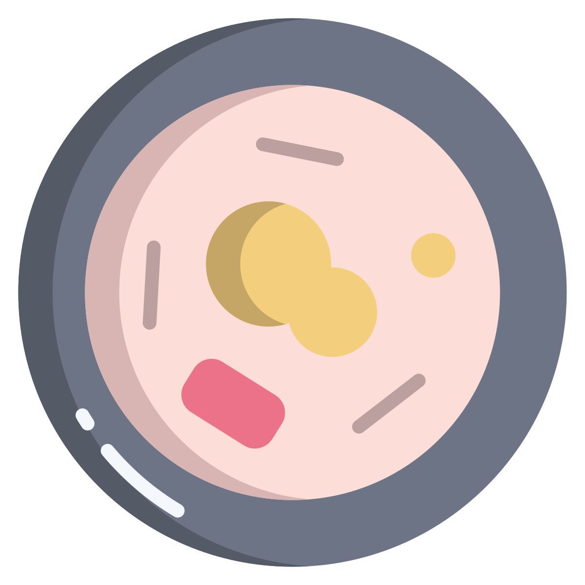 human body anatomy icon