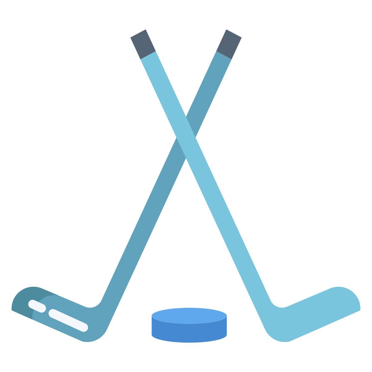 ice hokey icon