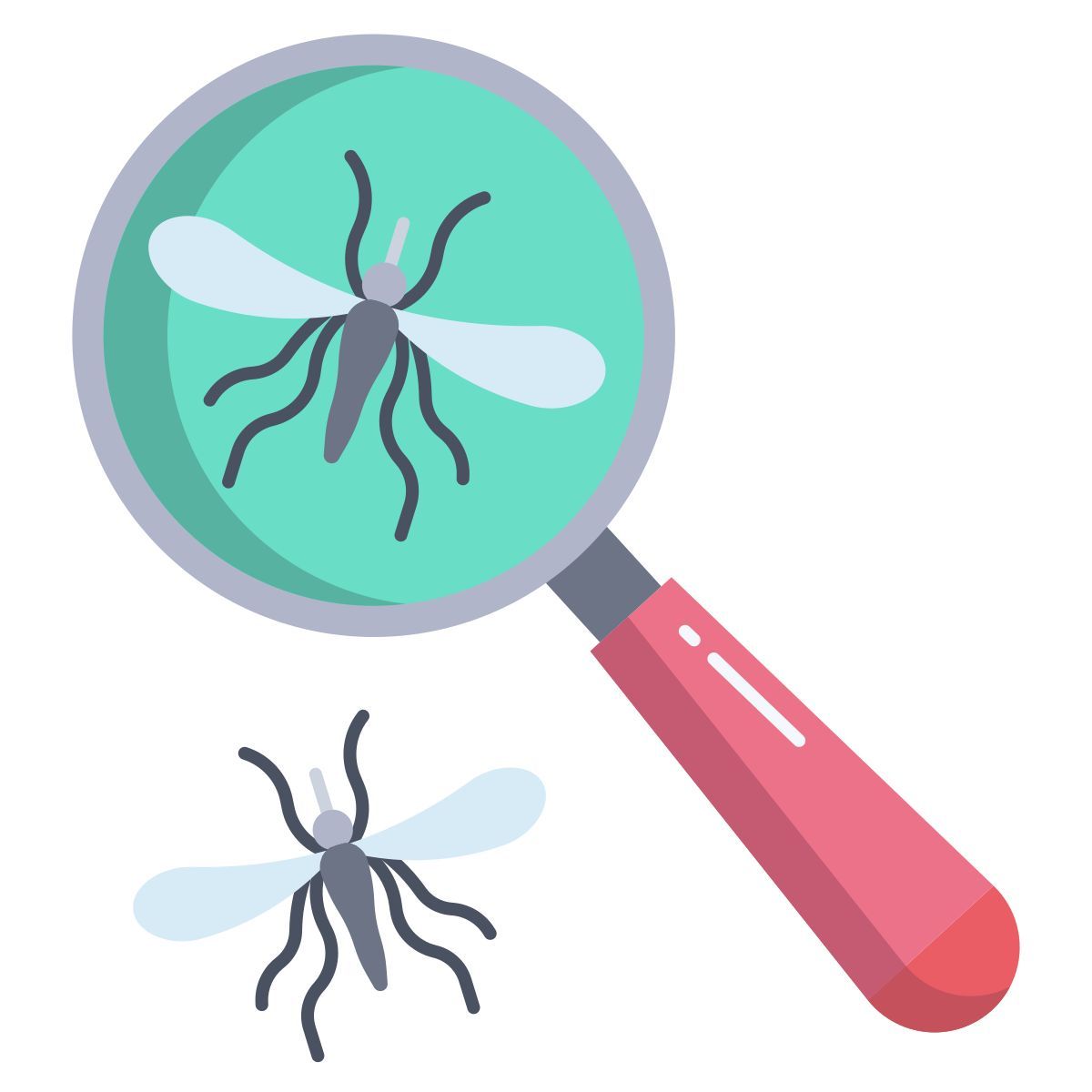 insect finder icon