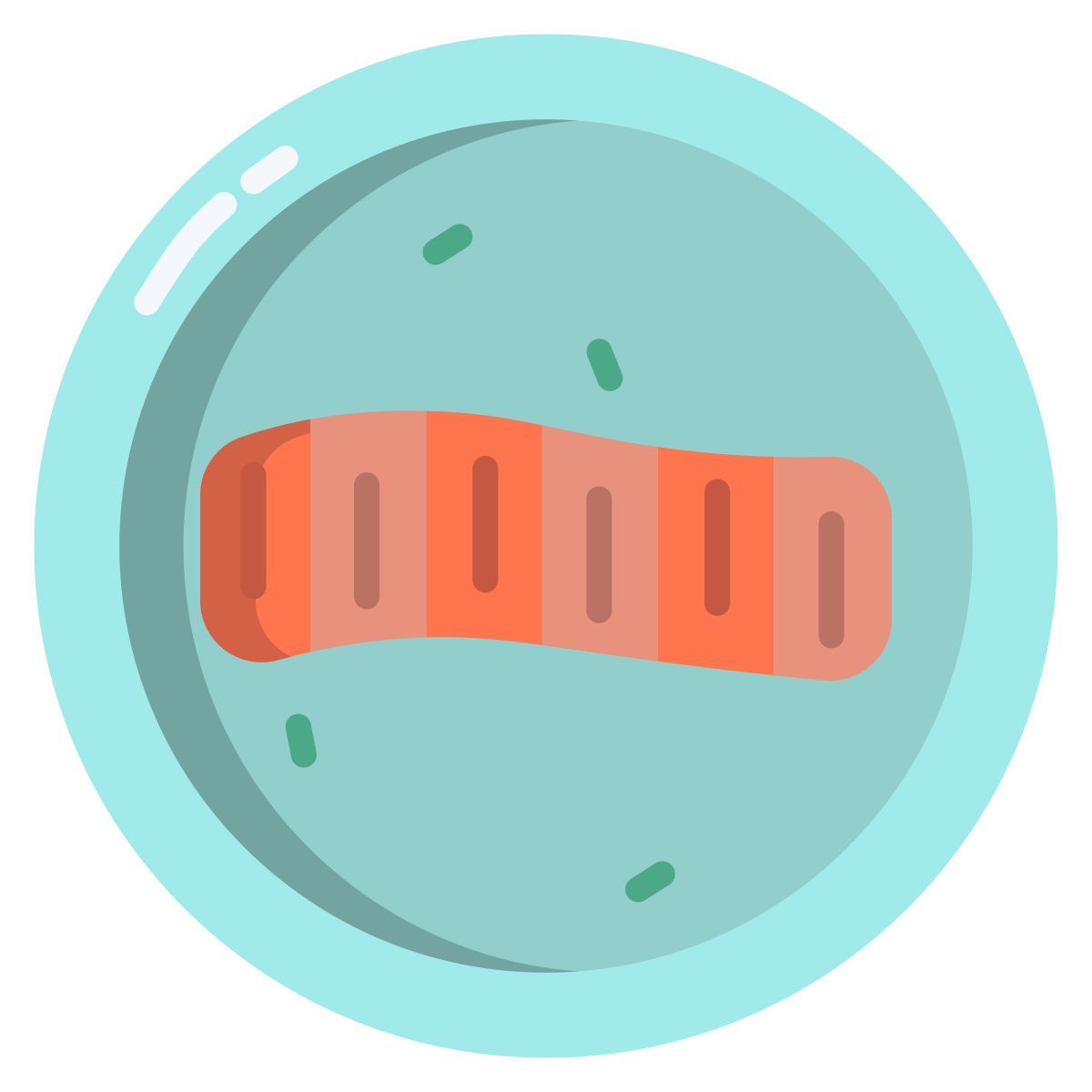 kabayaki icon