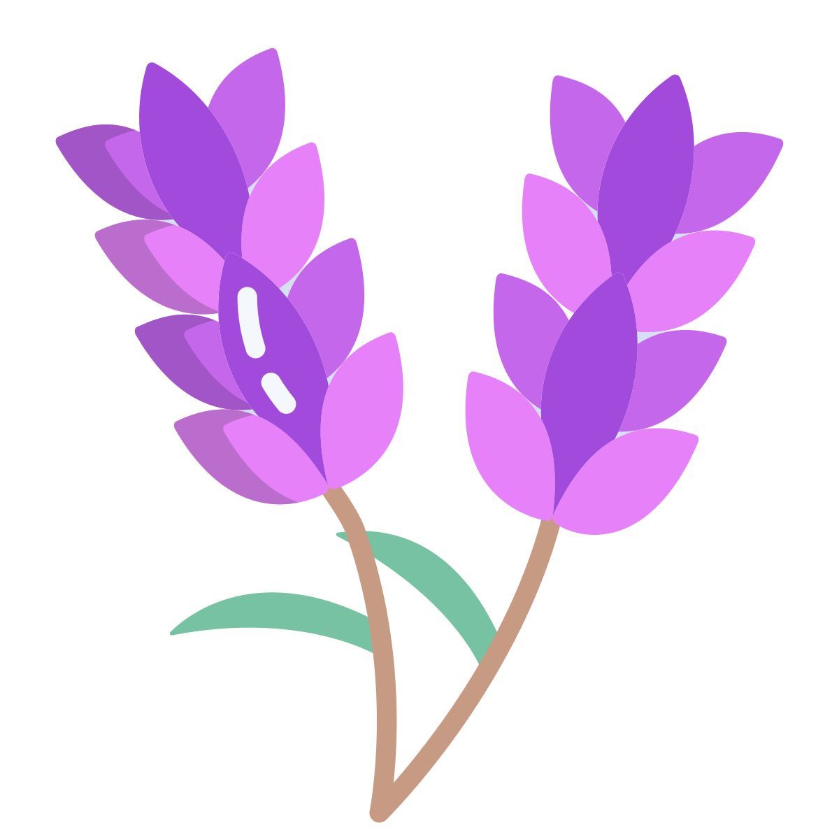 lavanda icon