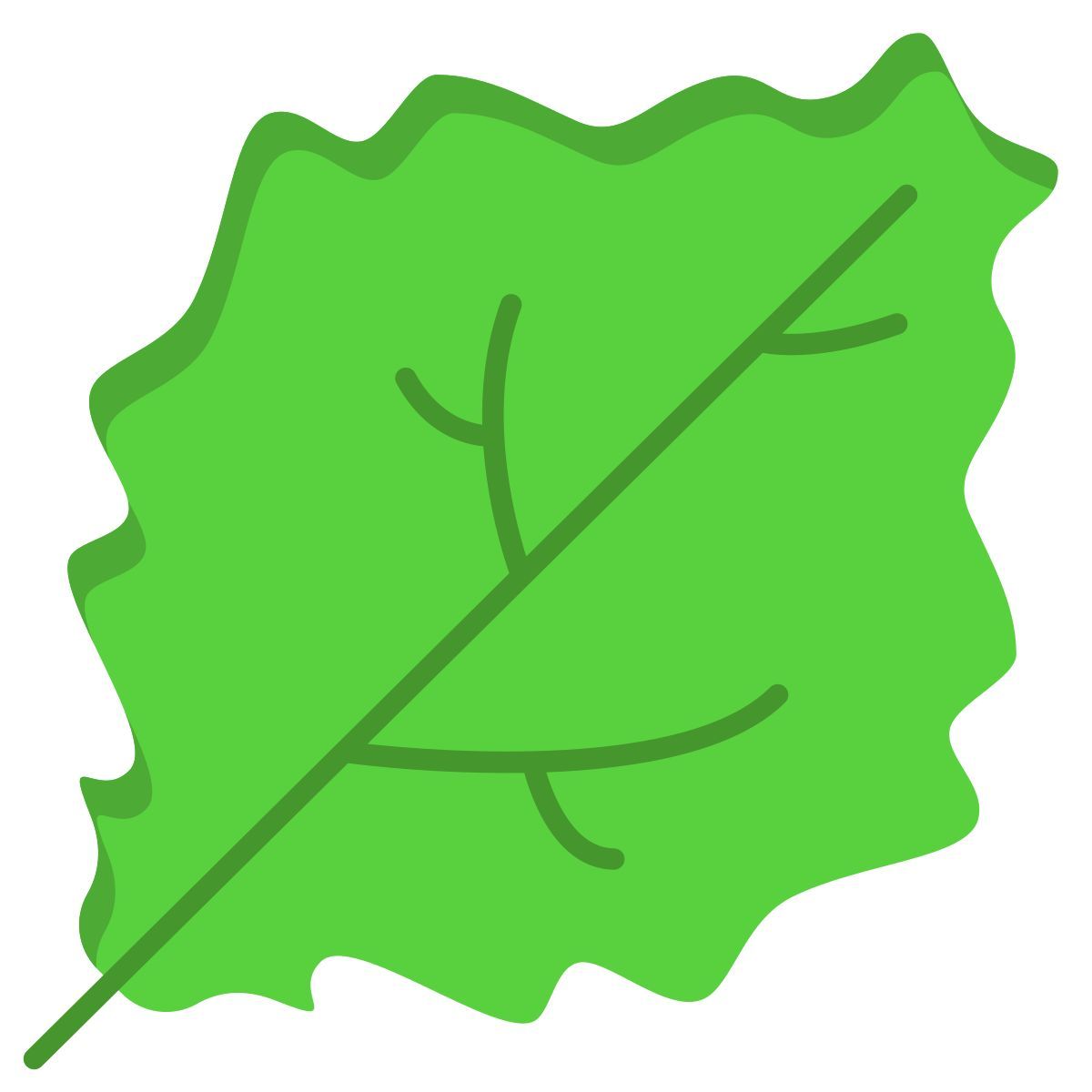 lettuce leaf icon