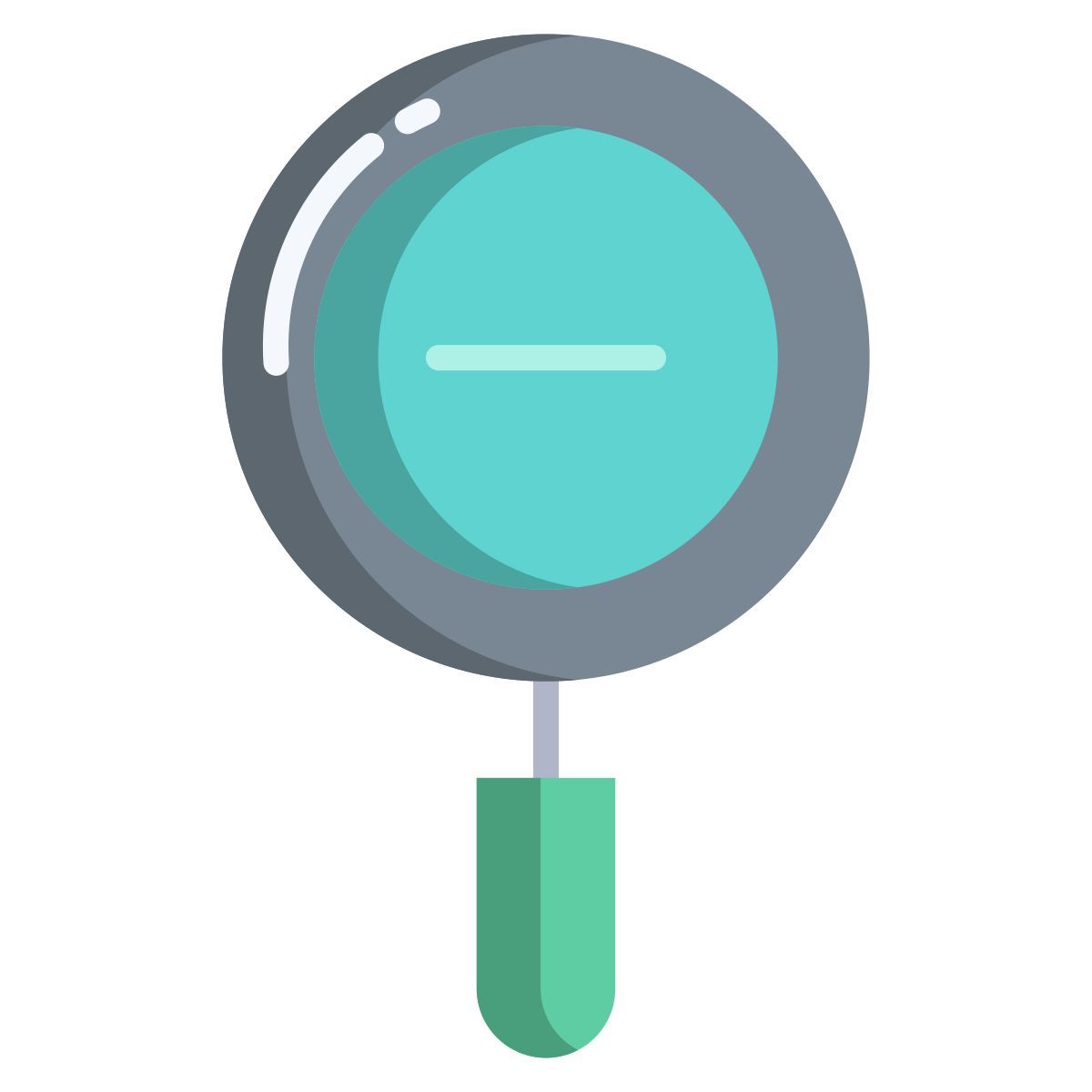 magnifier icon