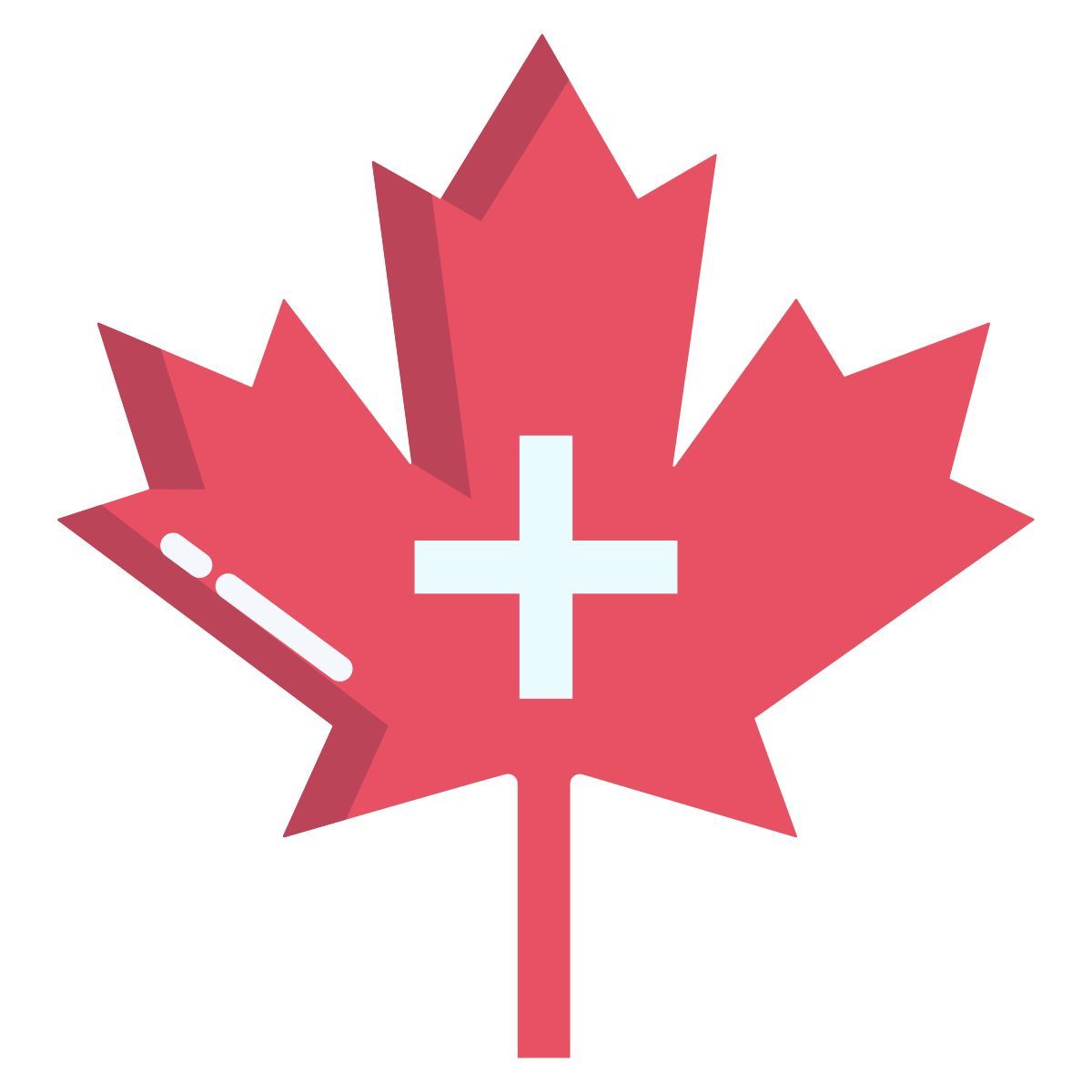 Medical Support icon